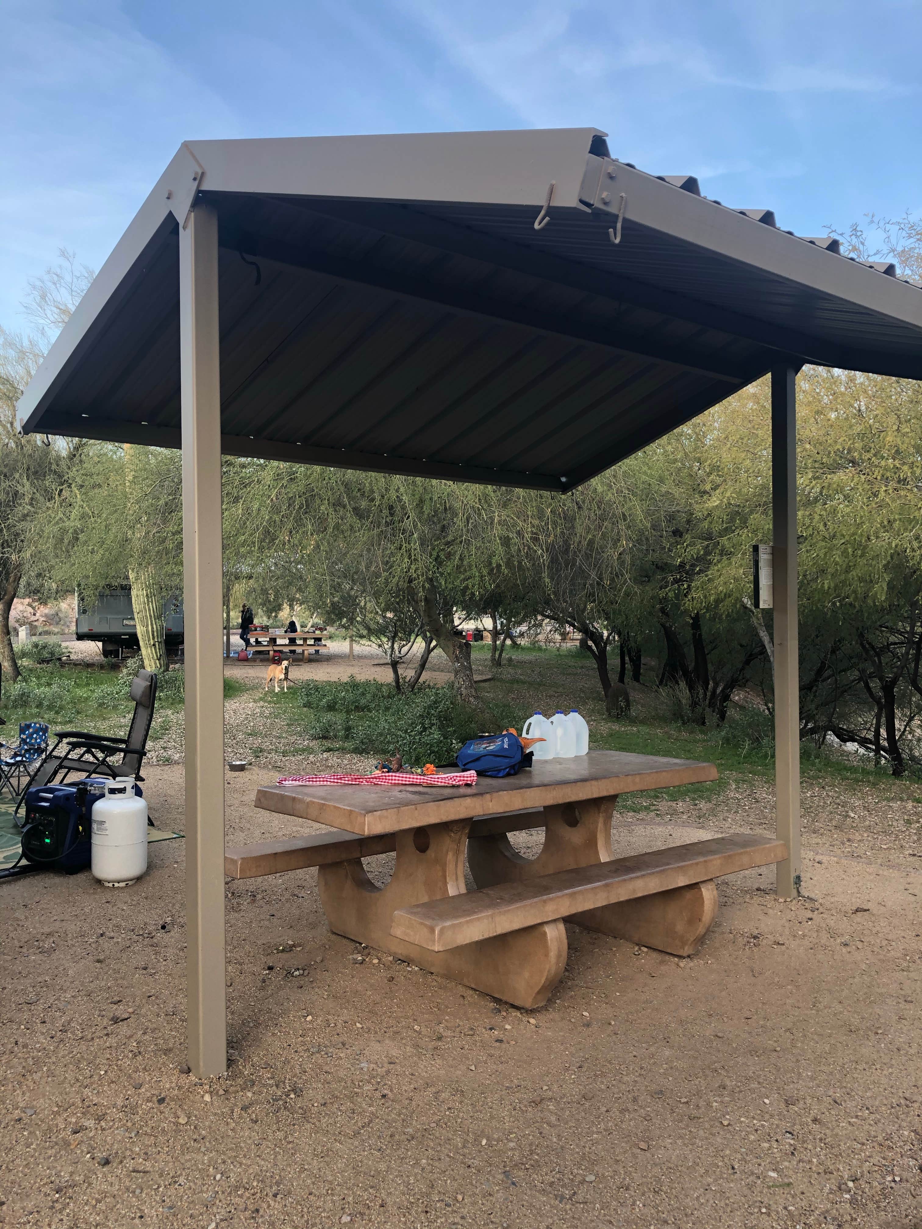 Camper submitted image from Lake Pleasant Regional Park Campground - 4