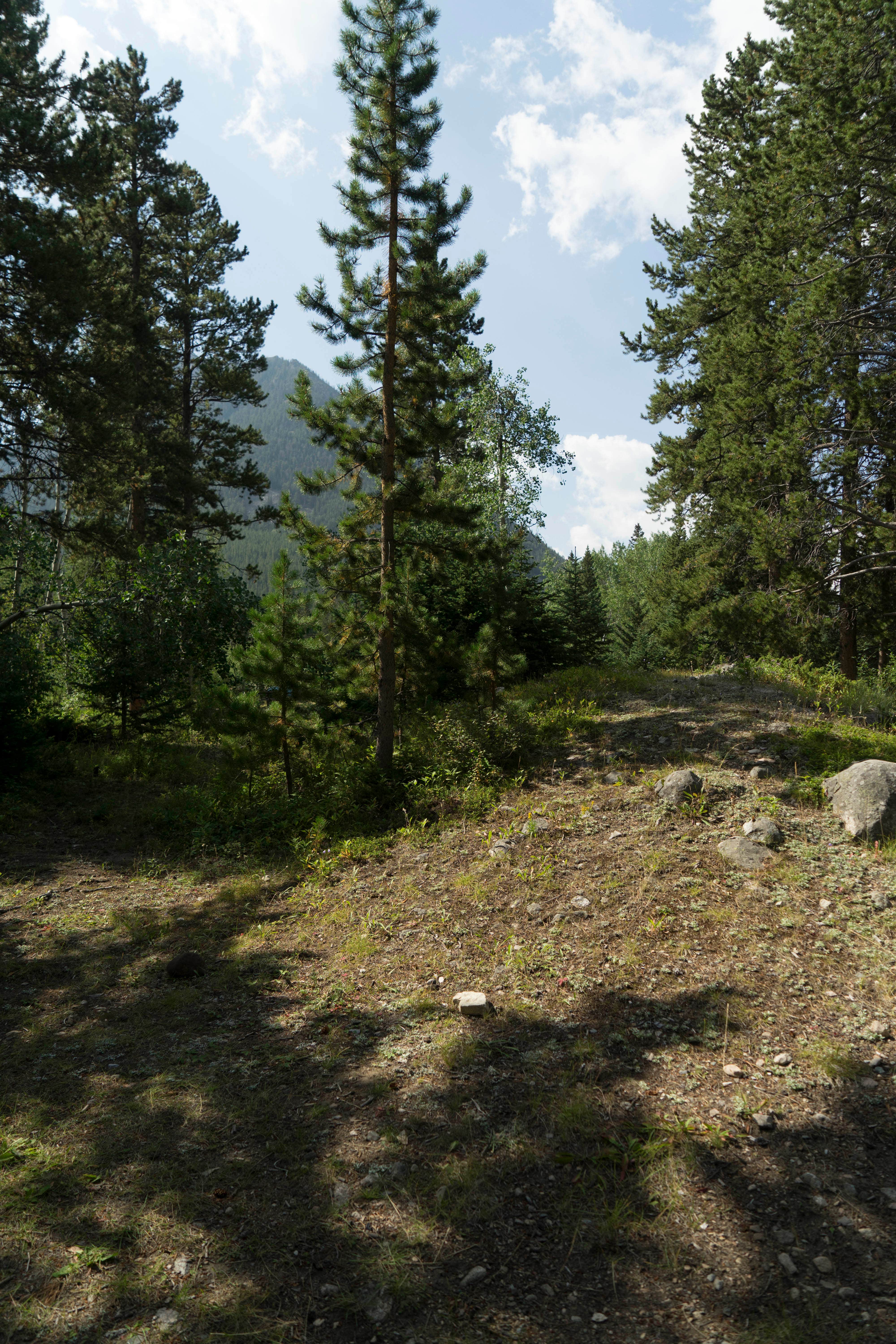 Camping near Custer National Forest Rattin Campground: Parkside Campground, Red Lodge, Montana