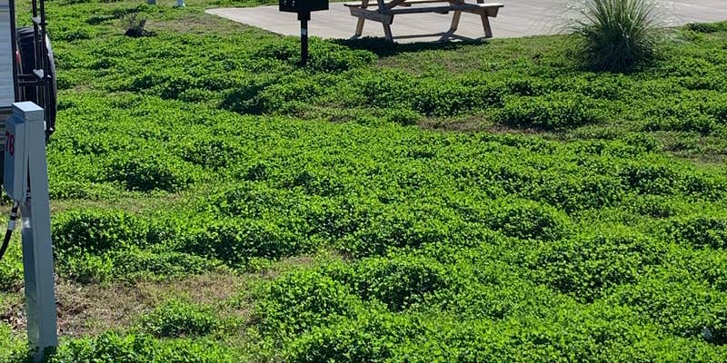 Camper submitted image from Sunset Marina and RV Park