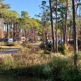 Review photo of Dr. Julian G. Bruce St. George Island State Park Campground by Mark K., January 8, 2020