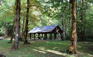 The Dyrt's photo of tent camping at Rock Creek near Cottage Grove, OR