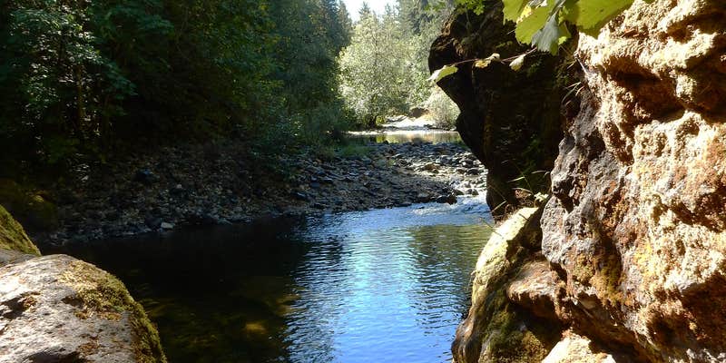 Camper submitted image from Sharps Creek