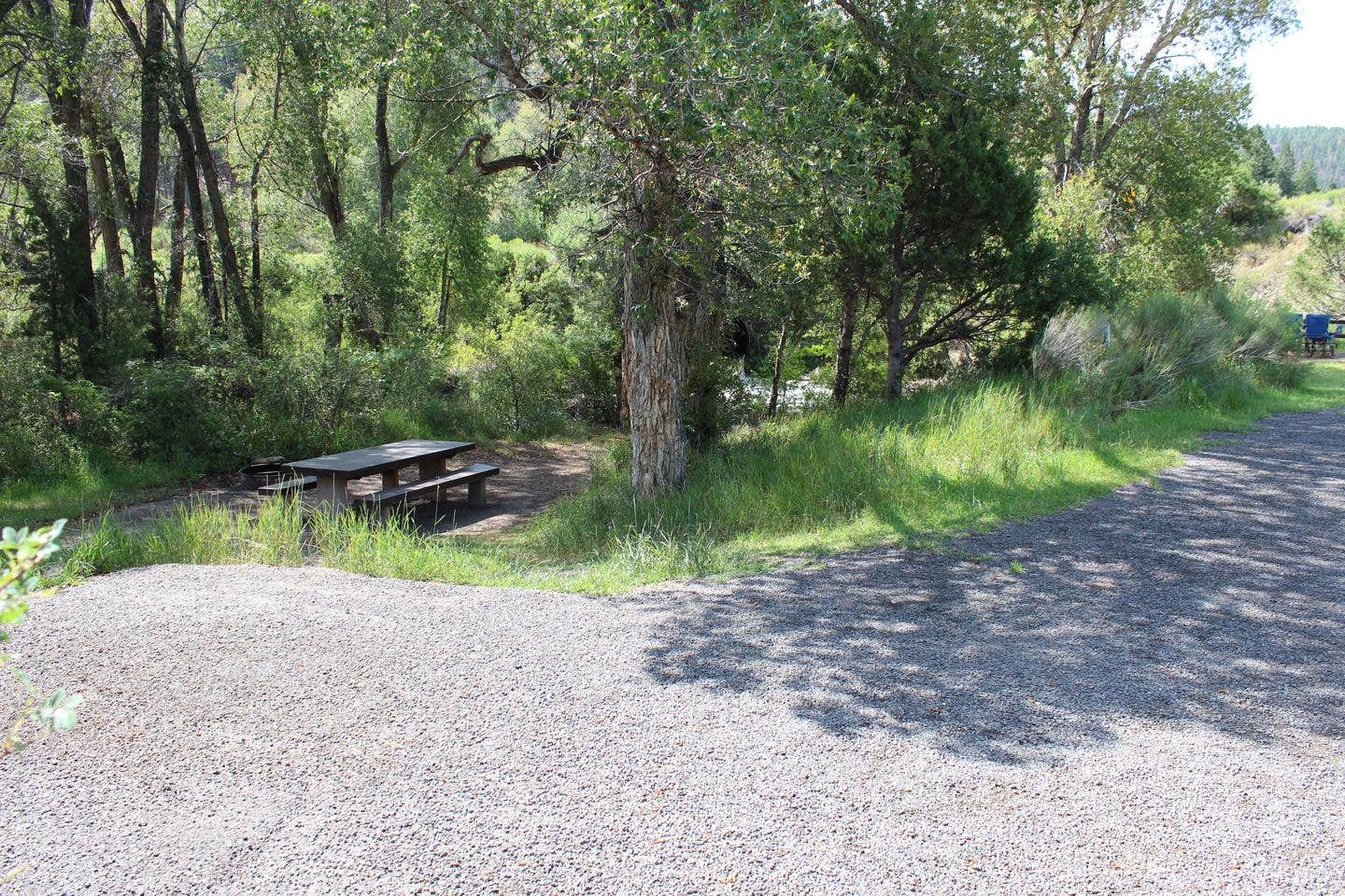 Campsite on the Creek



Campsite on the creek

Credit: S. Liermann Dixie National Forest