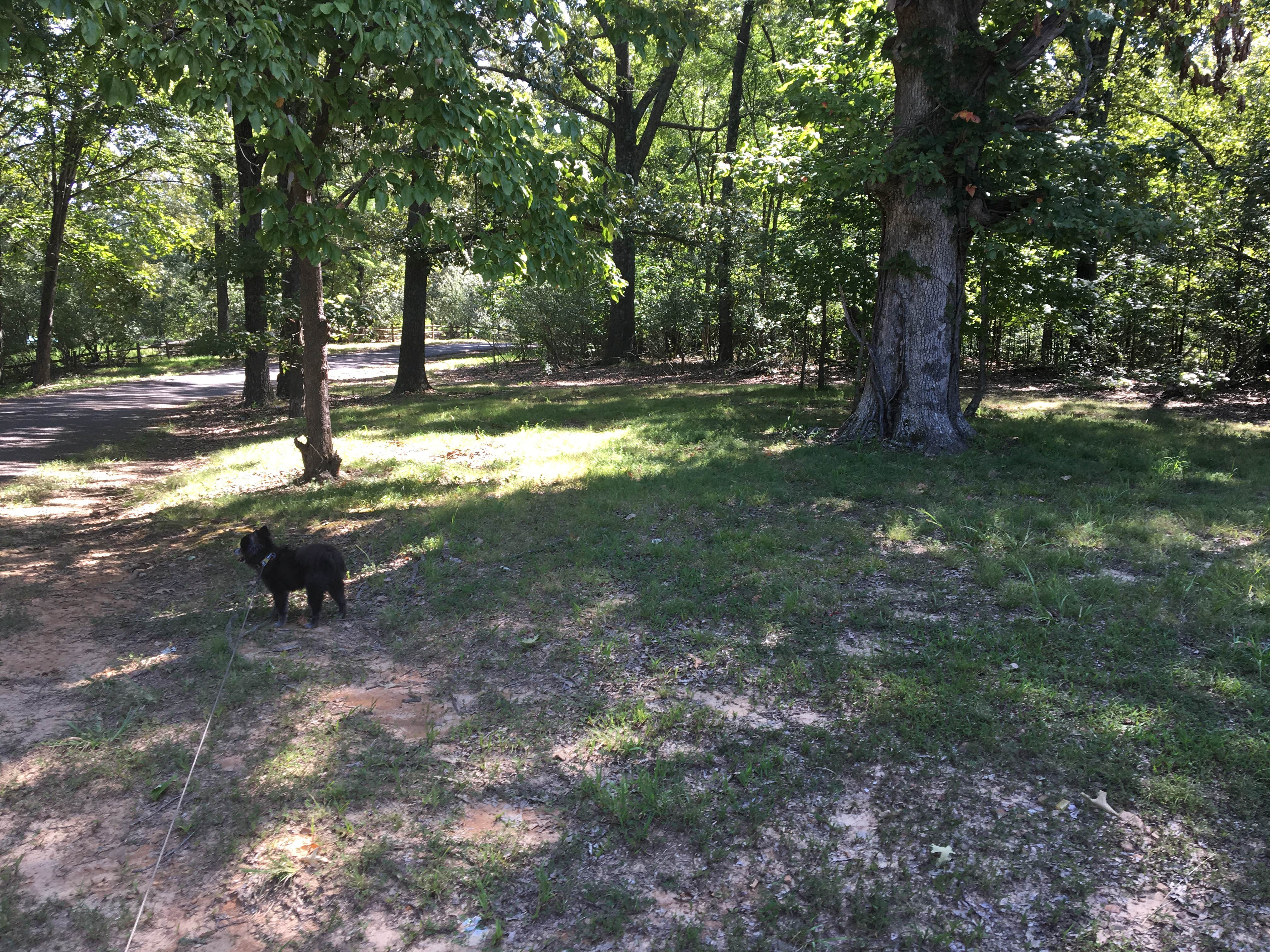 Camper-submitted photo at Barge Island Public Use Area at Birmingham Point near Oak Grove, KY