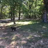 Review photo of Barge Island Public Use Area at Birmingham Point by Shelly S., August 26, 2017