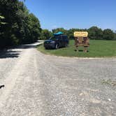 Review photo of Nickell Branch Campground by Shelly S., August 26, 2017