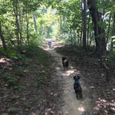 Review photo of Nickell Branch Campground by Shelly S., August 26, 2017