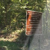 Review photo of Nickell Branch Campground by Shelly S., August 26, 2017