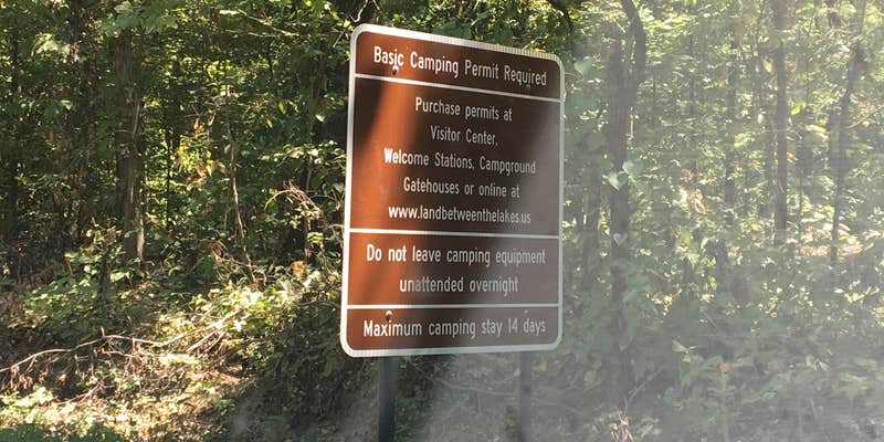 Camper submitted image from Nickell Branch Campground