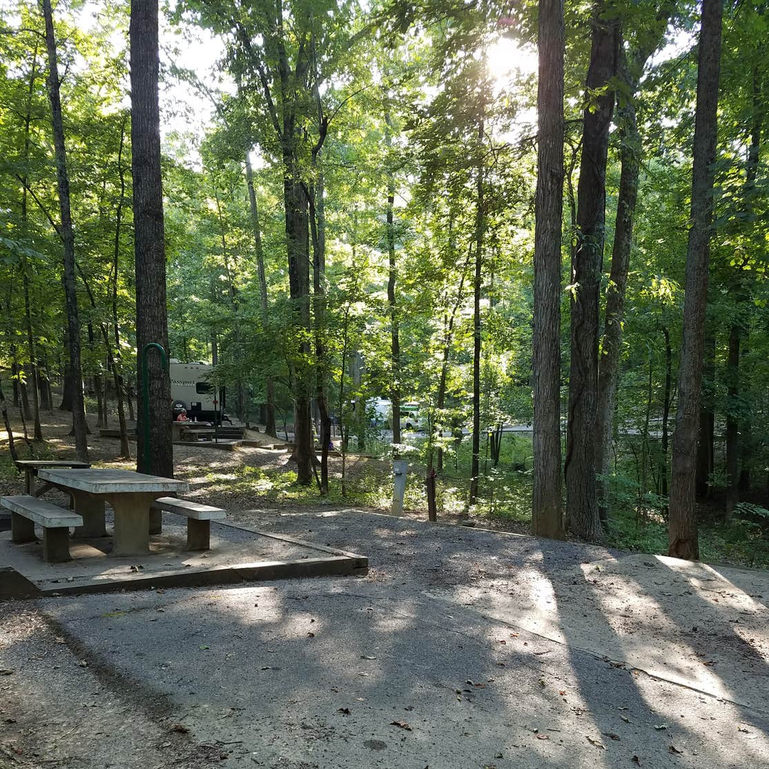 Canal Lake Barkley Camping The Dyrt