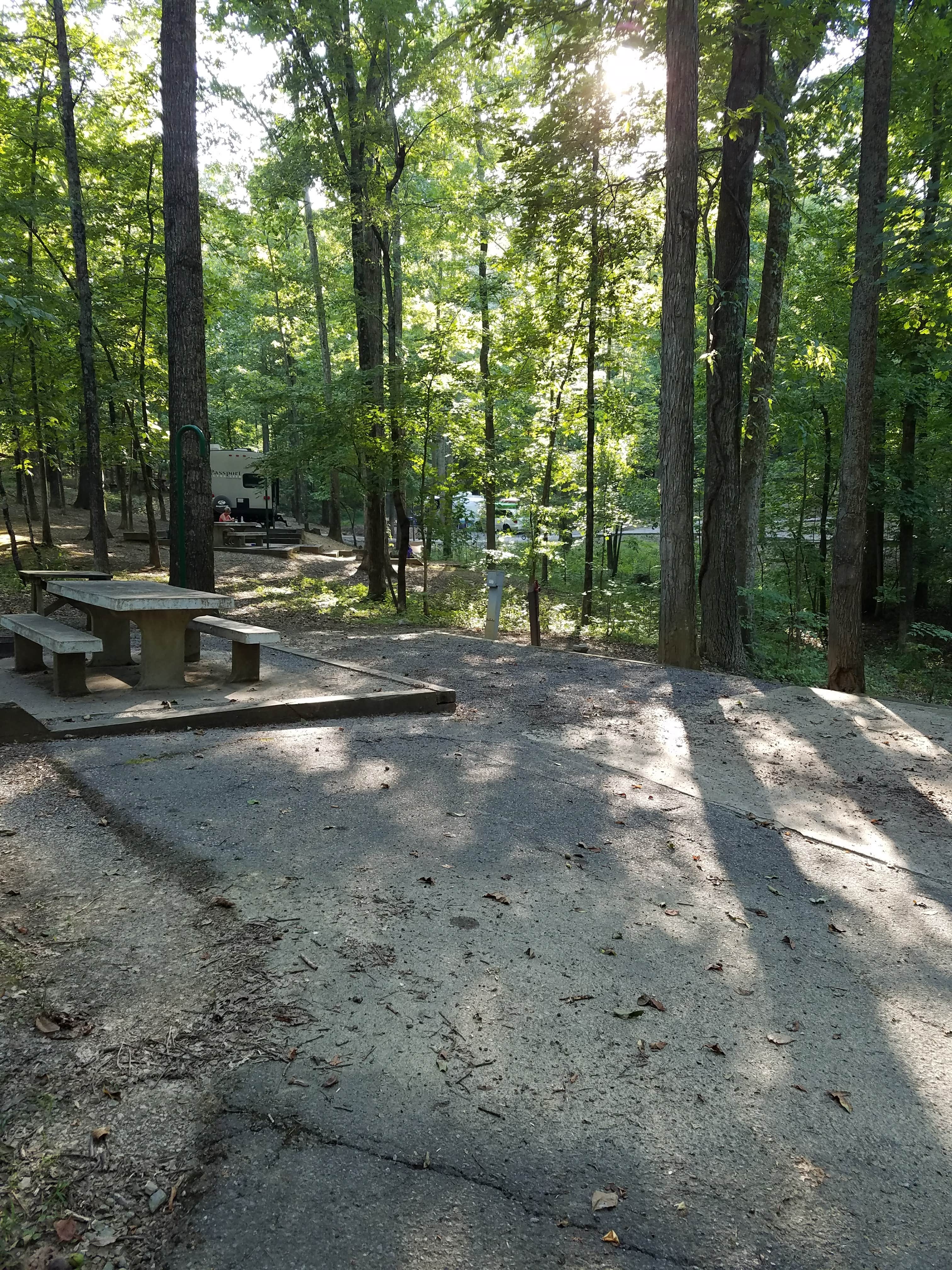 Camper submitted image from Canal Campground- Lake Barkley COE - 3