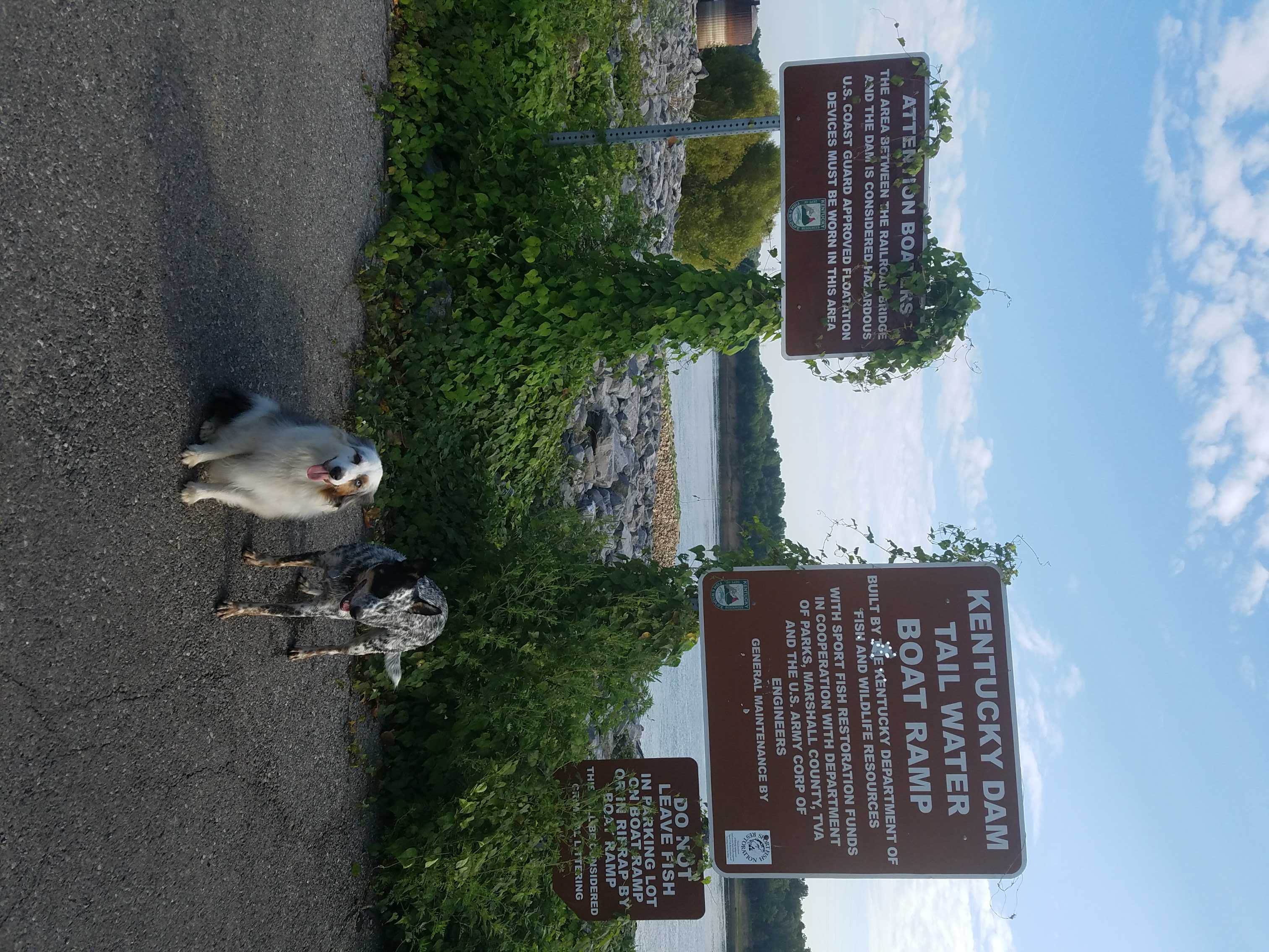 Camper submitted image from Gilbertsville Ramp - DFWR - 1