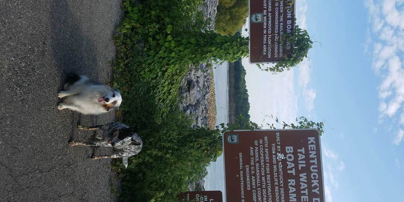 Camper submitted image from Gilbertsville Ramp - DFWR