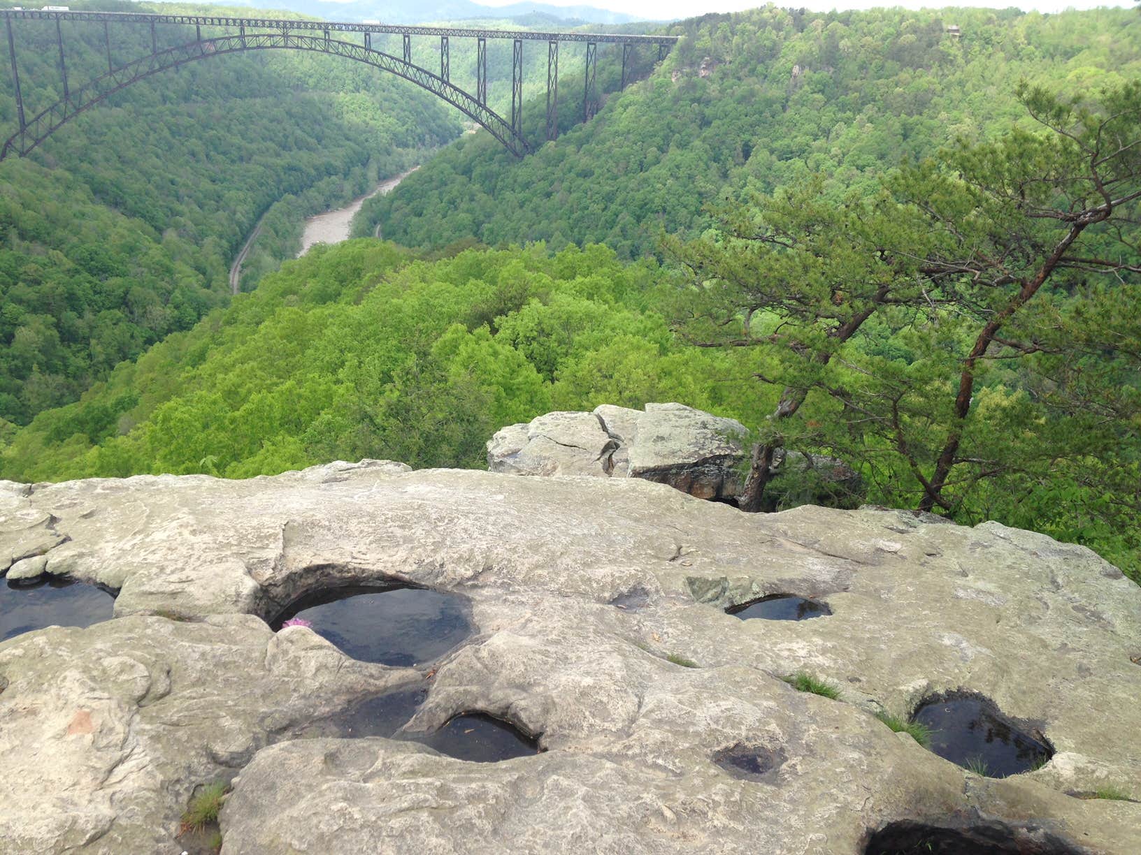 The New River Gorge Canyon Rim Visitor Center is to the very right of the bridge in the background...and offers great views too.