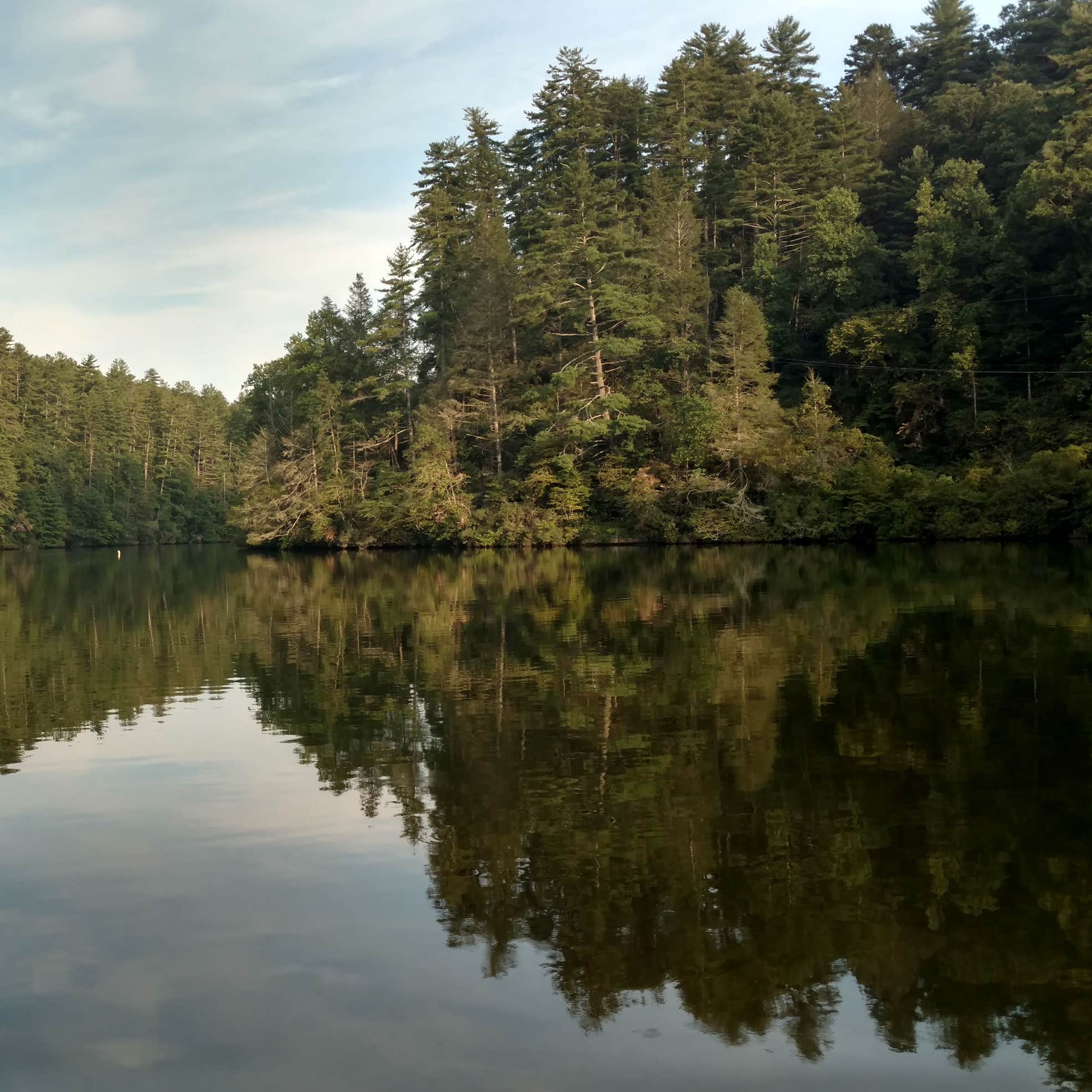 Lake Rabun Beach Recreation Area Camping | Lakemont, GA | The Dyrt