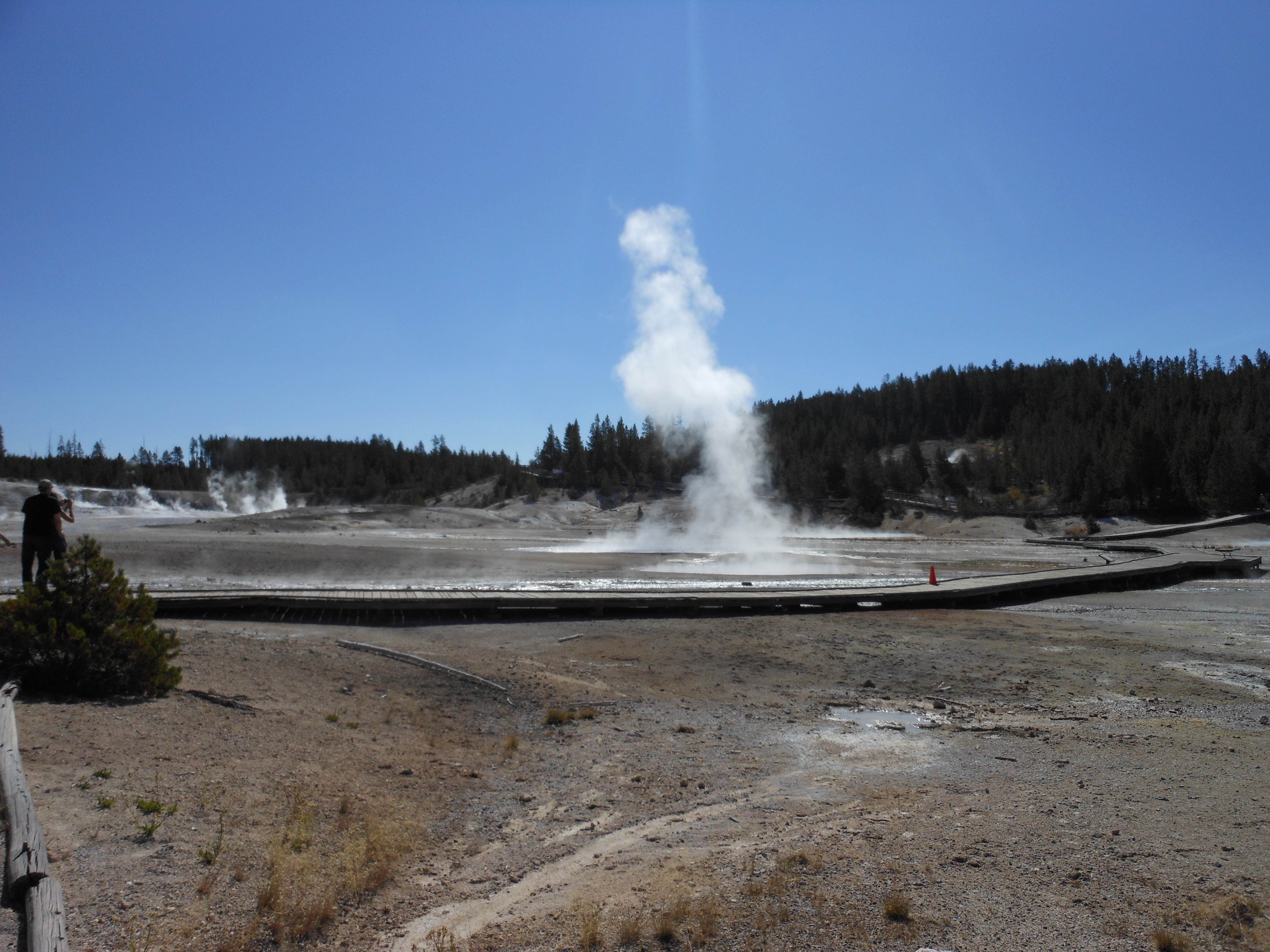 Camper submitted image from Fern Lake — Yellowstone National Park - 3