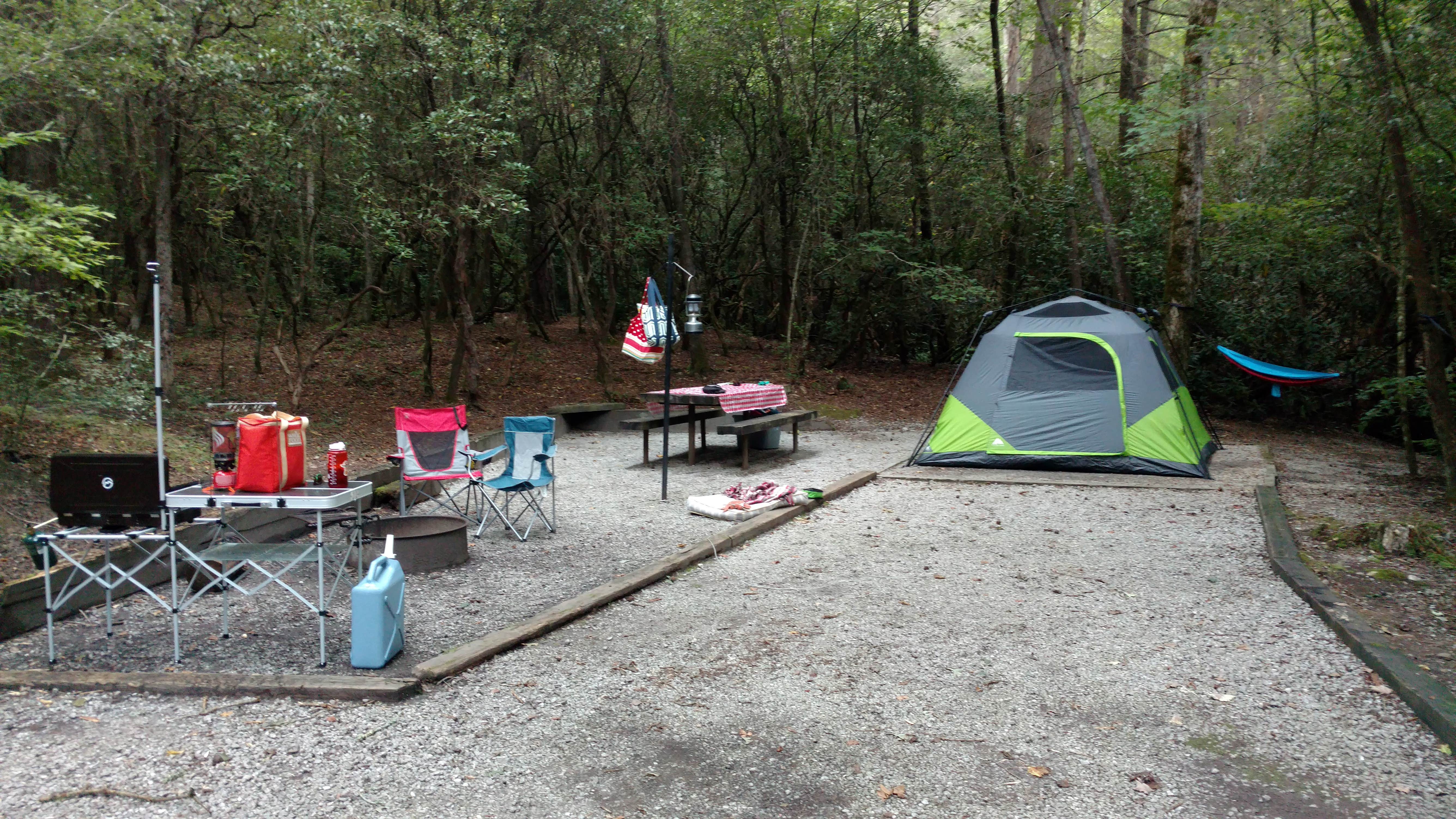 Camper submitted image from Lake Rabun Beach Recreation Area - 5