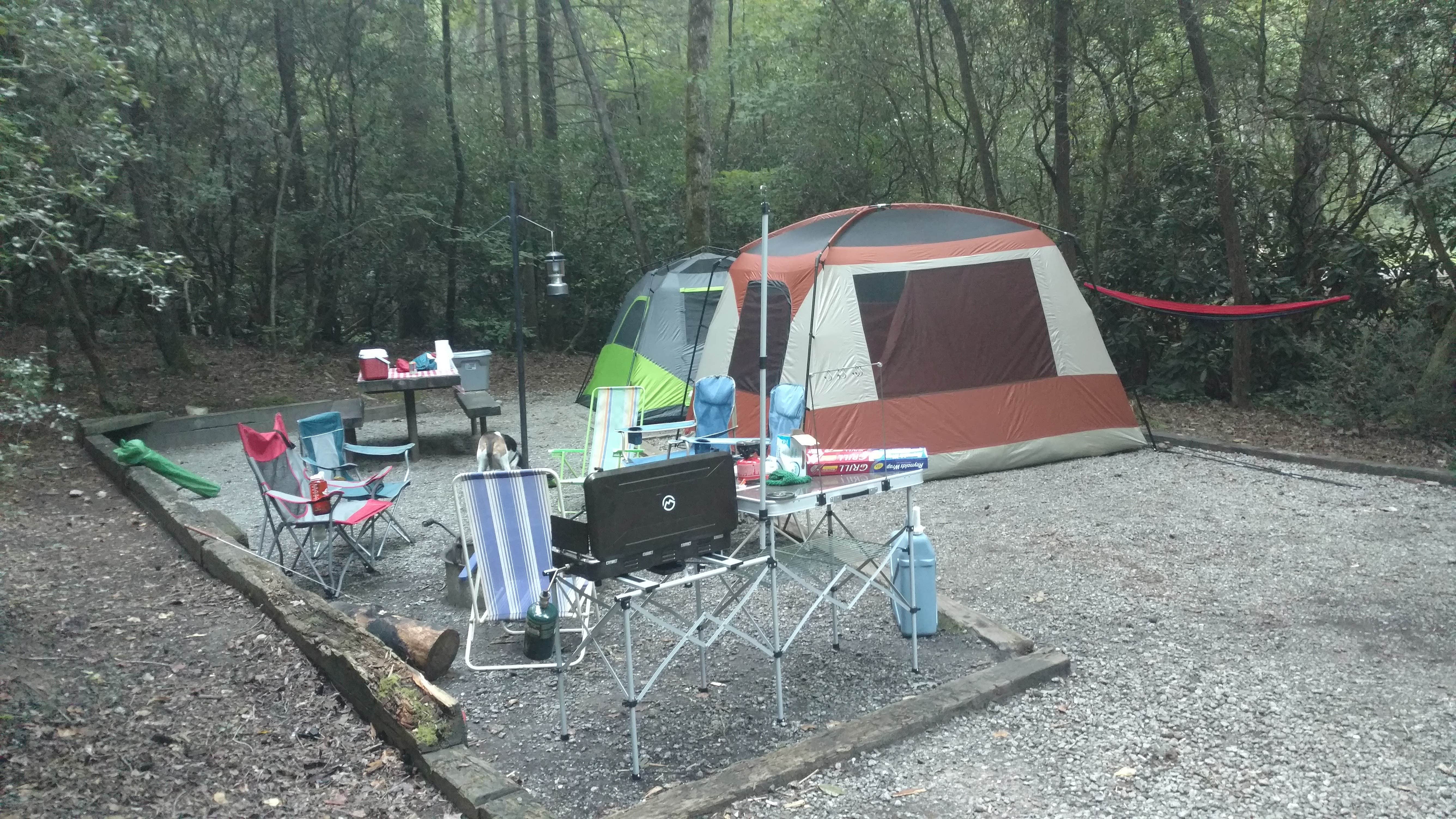 Camper submitted image from Lake Rabun Beach Recreation Area - 4