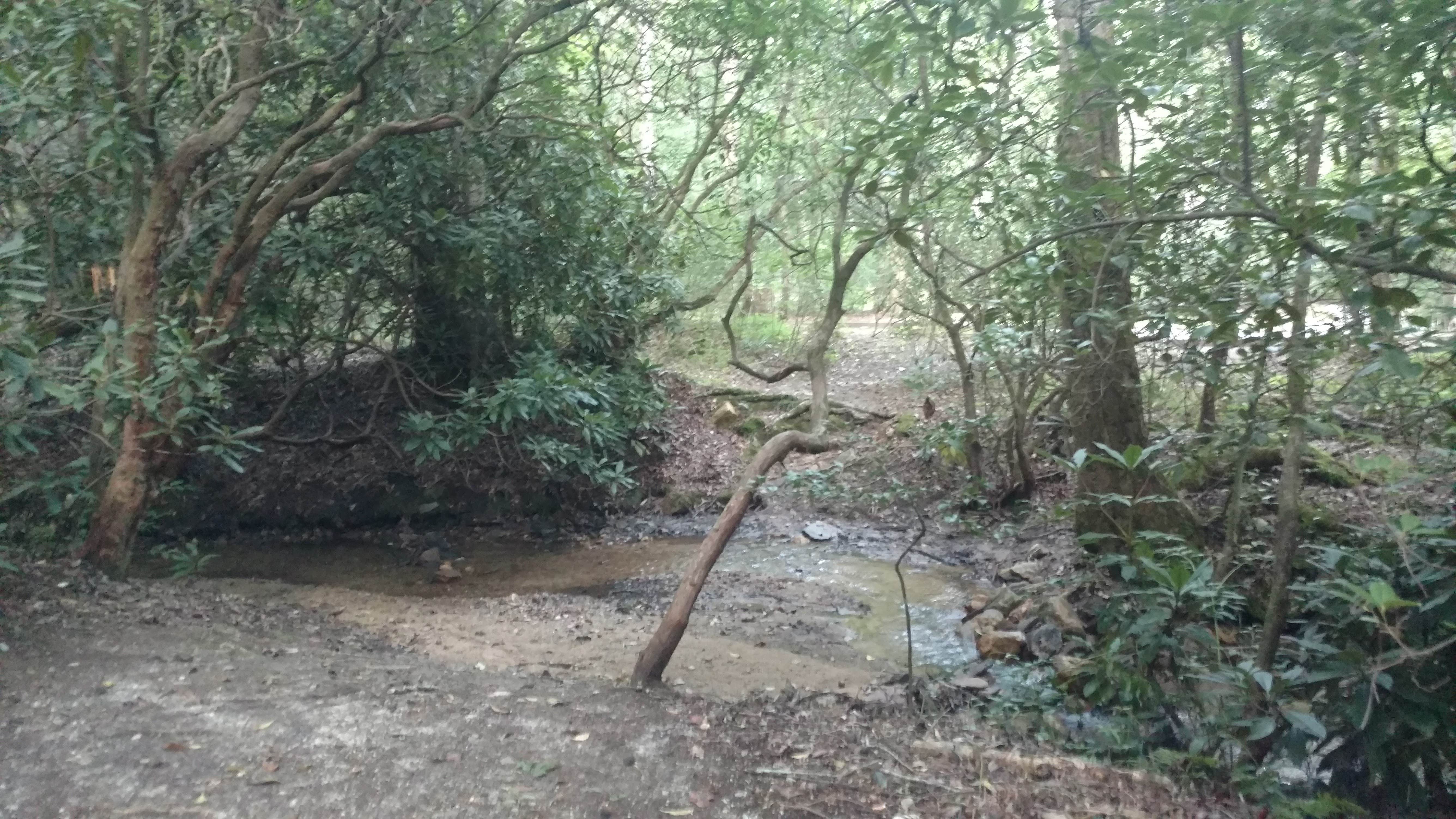 Camper submitted image from Lake Rabun Beach Recreation Area - 2