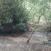 Review photo of Lake Rabun Beach Recreation Area by John W., August 27, 2017