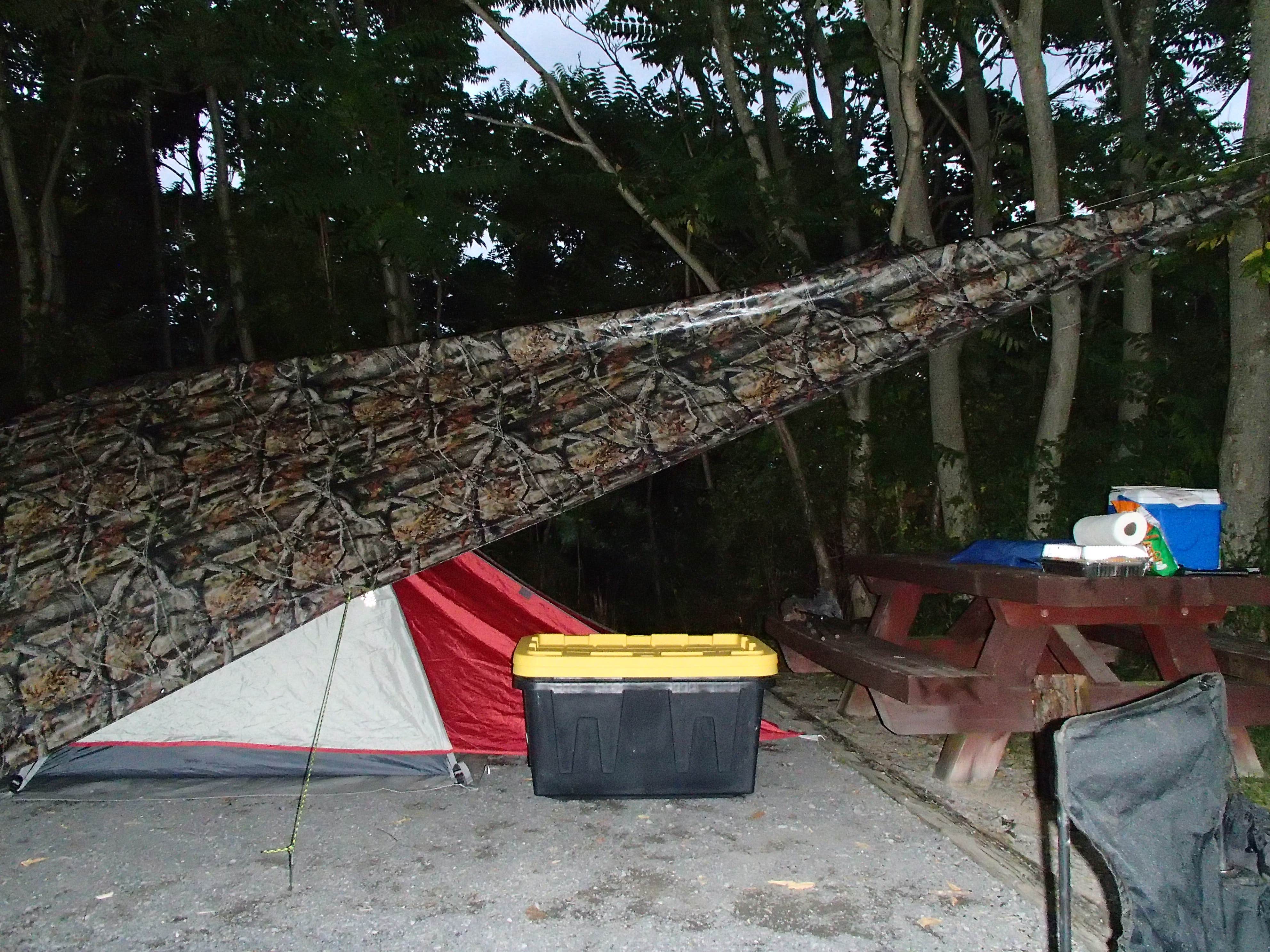 Camper submitted image from Seneca Shadows - 4
