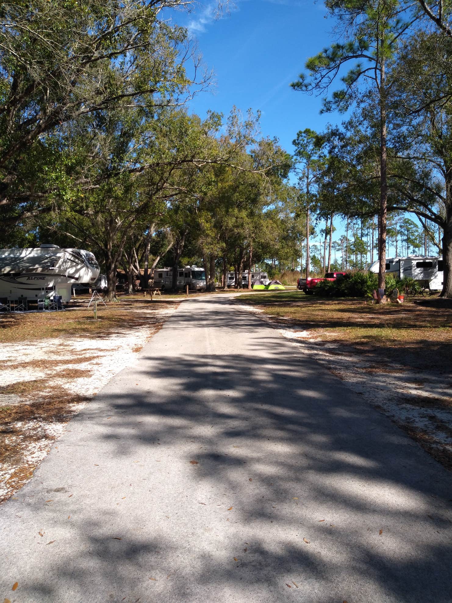 Highlands Hammock The Dyrt