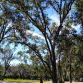 Review photo of Highlands Hammock State Park by Robert M., January 9, 2020