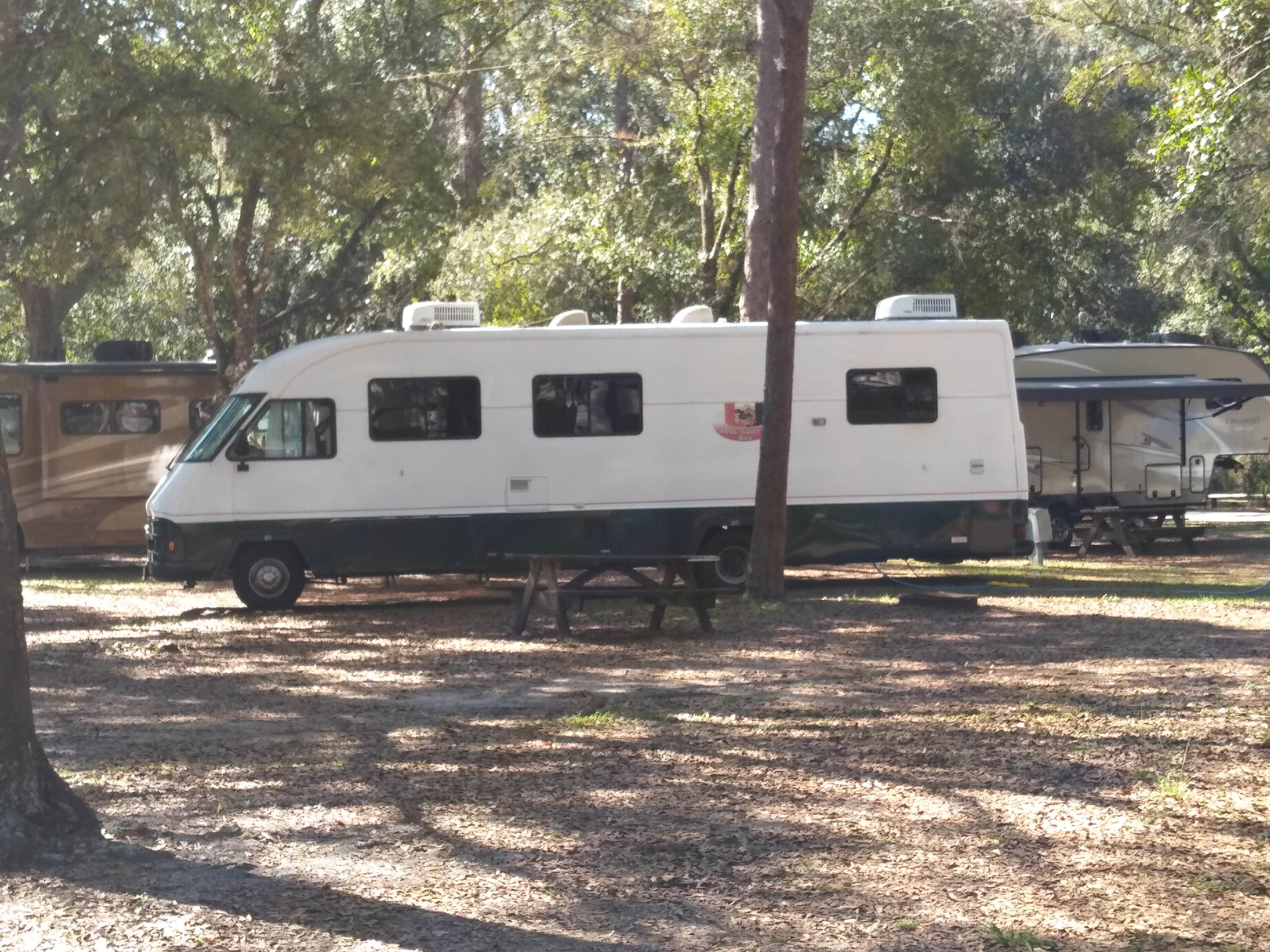 Robert M.'s photo of rv camping at Highlands Hammock State Park Campground near Sebring, FL