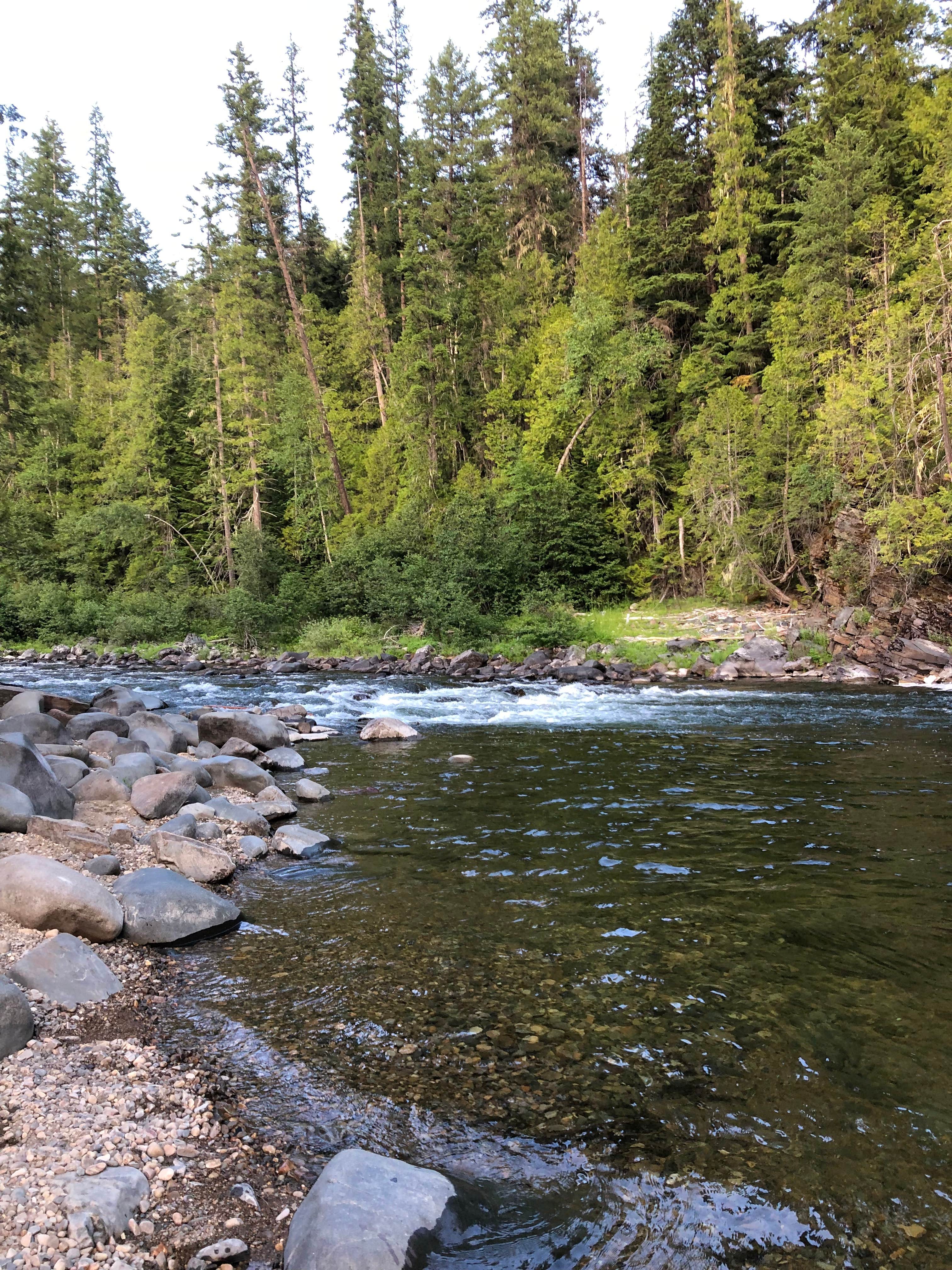 Camper-submitted photo at Yaak Falls Campground near Eureka, MT
