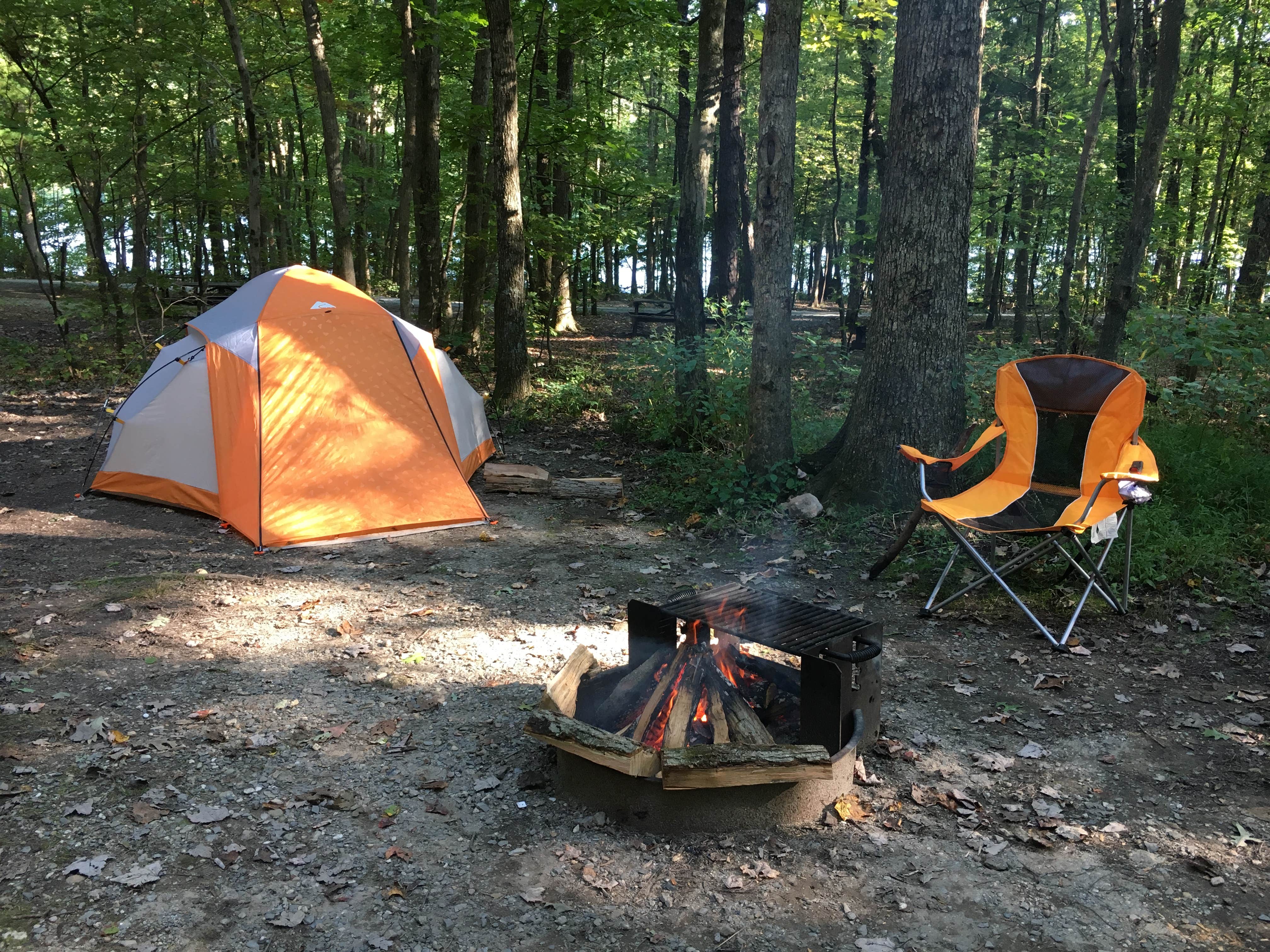 Amber M.&#x27;s photo of tent camping at Mauch Chunk Lake Park near Blandon, PA
