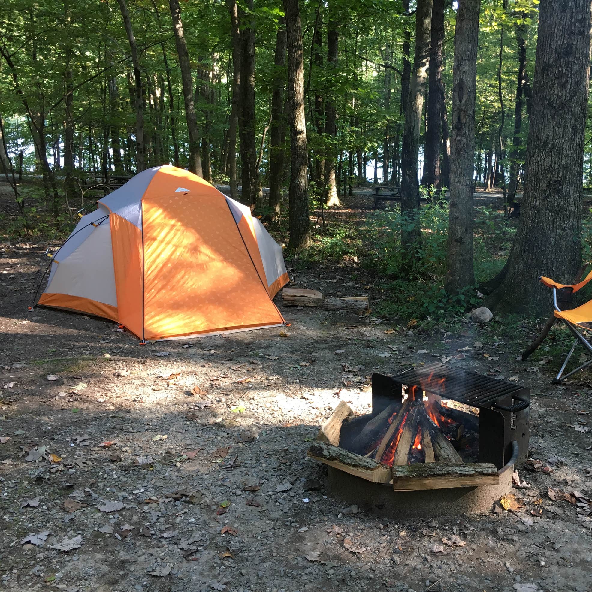 Mauch Chunk Lake Park Camping The Dyrt