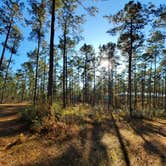 Review photo of Bogue Chitto State Park Campground by Amanda B., January 10, 2020