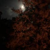 Review photo of Inks Lake State Park Campground by Chris H., January 11, 2020