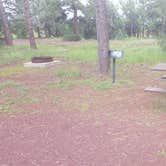 Review photo of Show Low Lake Campground by Krista Z., August 27, 2017