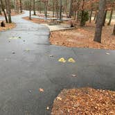 Review photo of Lake Greenwood State Park Campground by Jessica P., January 11, 2020