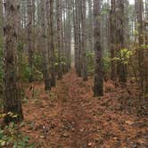 Review photo of Pine Campground — Sand Ridge State Forest by Silas  H., January 12, 2020