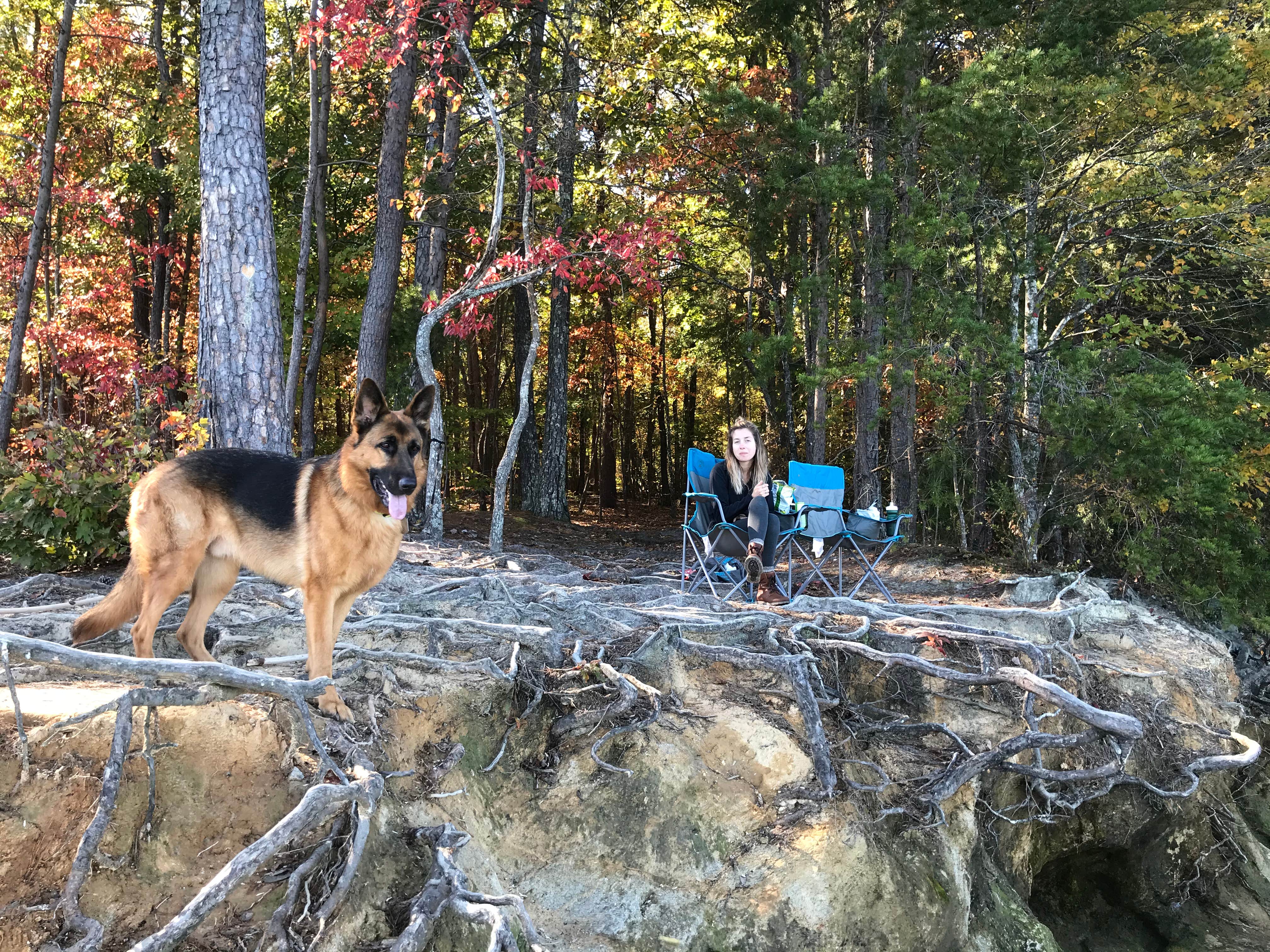 Garrett S.'s photo of camping with pets at Devils Fork State Park Campground near Cashiers, NC