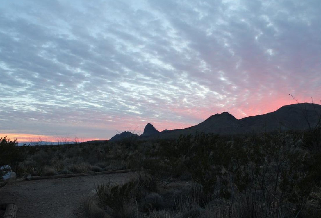 Camper submitted image from Robbers Roost Primitive Campsite — Big Bend National Park - 2