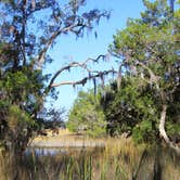 Review photo of Skidaway Island State Park Campground by Jason I., May 6, 2015