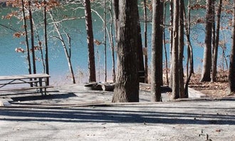 Camping near Denver Downs Farm: Twin Lakes at Lake Hartwell, Clemson, Georgia