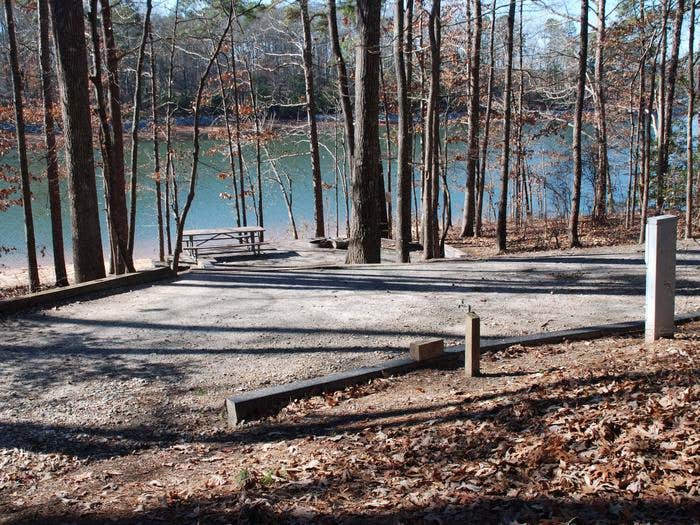 Camper submitted image from Twin Lakes at Lake Hartwell - 3