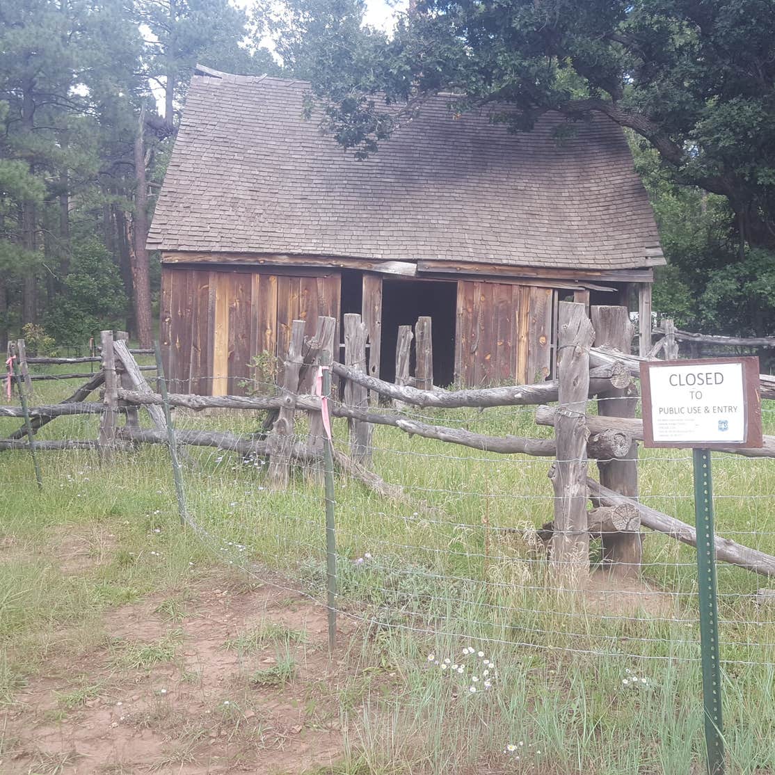 Los Burros Campground McNary, AZ