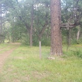 This is campground 5. It's a pull in but a few hundred feet off the loop. There is a picnic table and a metal fire pit.