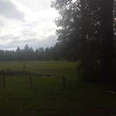 Review photo of Los Burros Campground by Krista Z., August 27, 2017