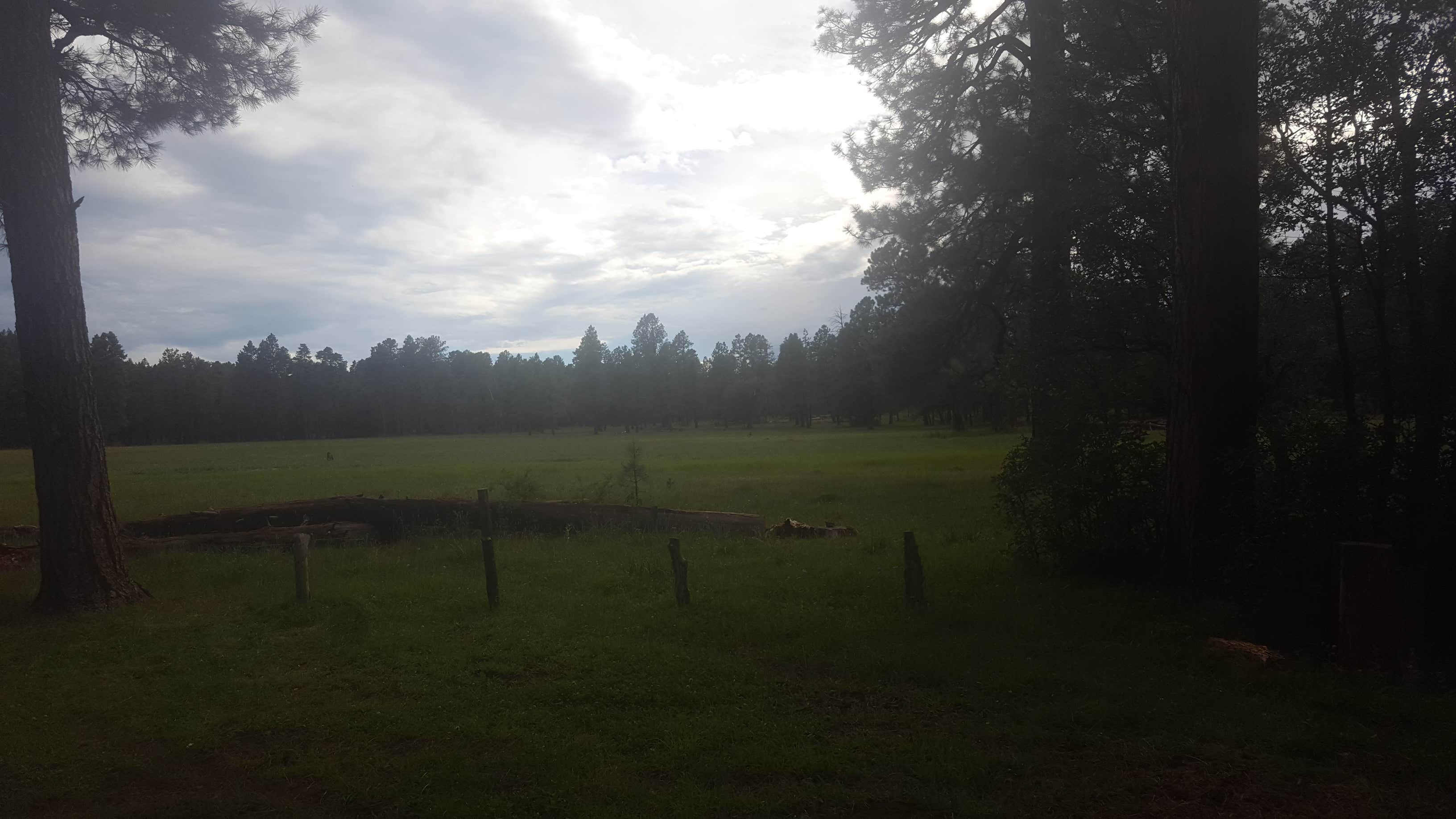 This is the field at the backside of the campground. No motorized vehicles.