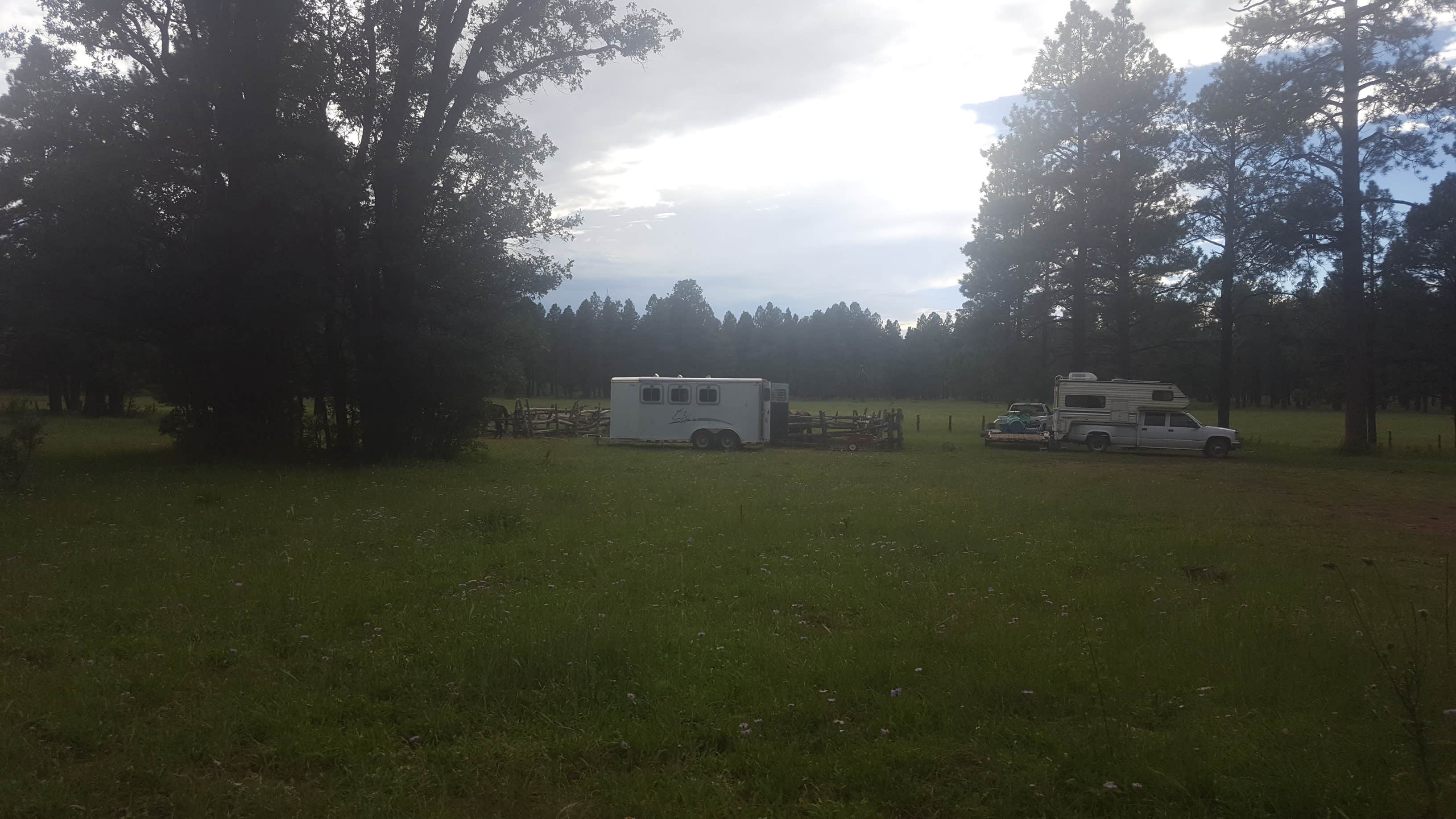 Camper submitted image from Los Burros Campground - 4