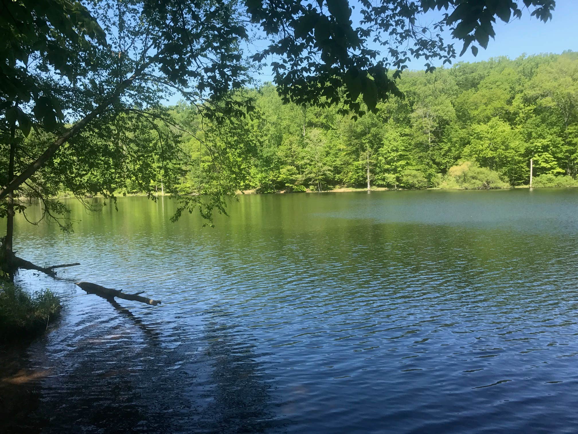Camper-submitted photo at Houck - Cunningham Falls State Park near Rouzerville, PA