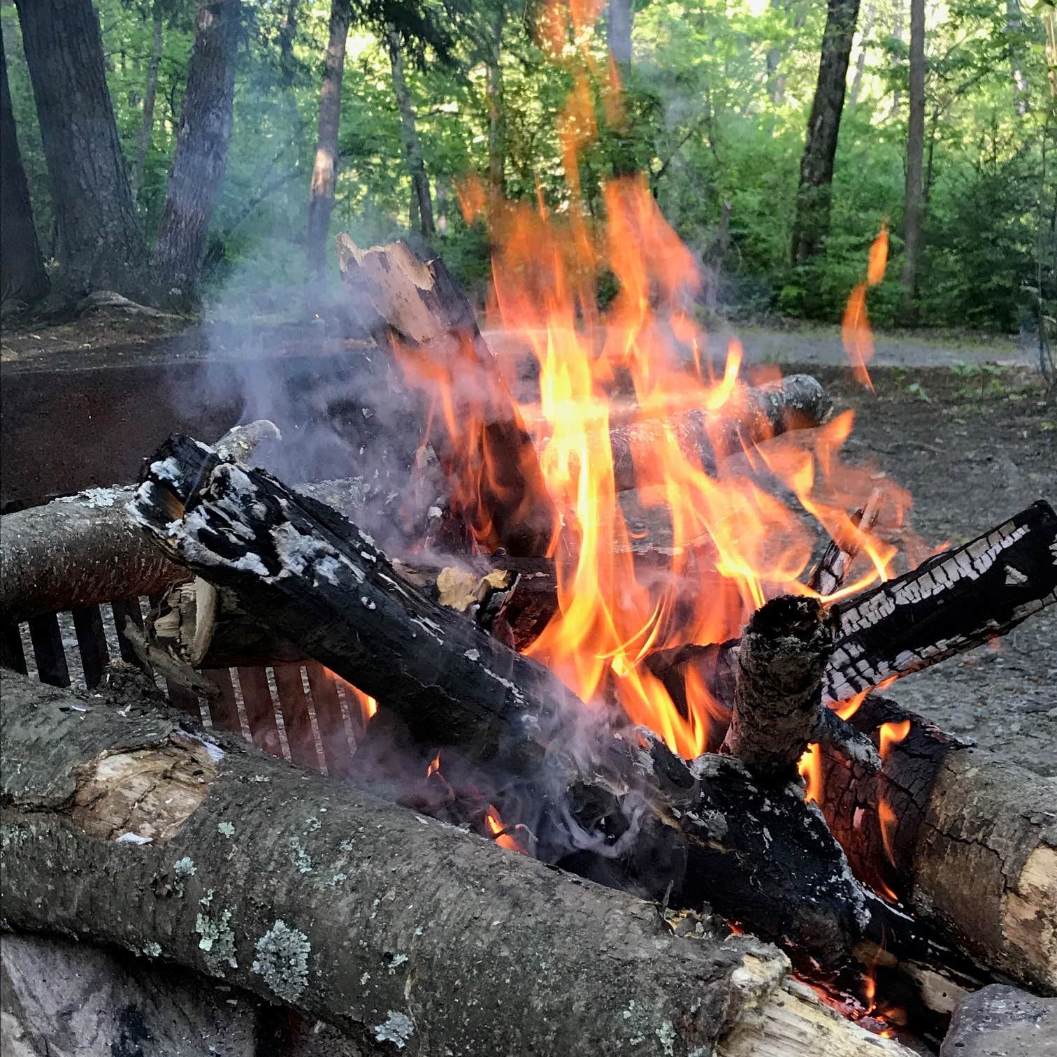Camper submitted image from Houck - Cunningham Falls State Park - 5