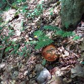 Review photo of Clear Creek Recreation Area by Leesha J., August 27, 2017