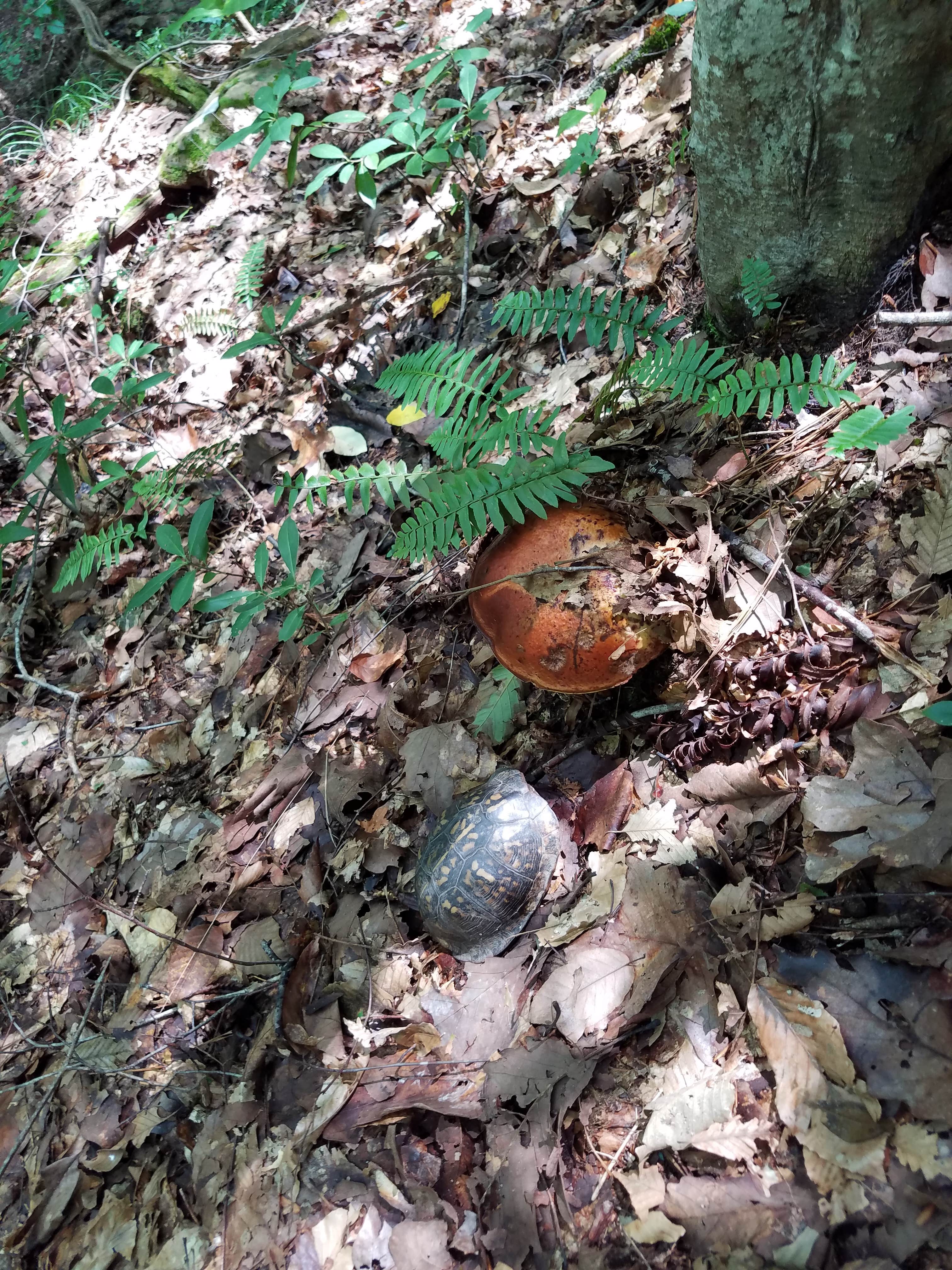 Camper submitted image from Clear Creek Recreation Area - 5